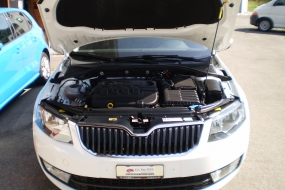 SKODA Octavia Combi 1.6 TDI 110  **VERKAUFT nach 9043 Trogen Kt.AR**